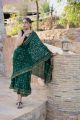 Luxurious Chiniya Silk Bandhej Saree