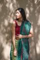 Experience Heritage Charm: Double Dot Bandhni Sarees
