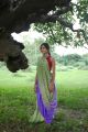 Ombre Shibori Tie-Dye Mulberry Silk Saree for Elegant Look