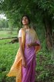Handcrafted Ombre Mulberry Silk Saree with Shibori Pallu