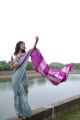 Mulberry Silk Saree in Grey and Magenta with Shibori Design