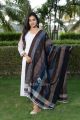 Kutch Handloom Shawl with Earthy Stripes and Mirror Embellishments