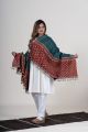 Green & Red Handwoven Merino Wool Shawl with Tussar Silk Motif Finish